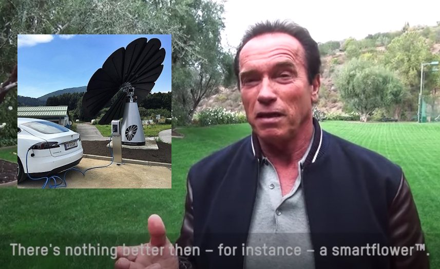 Arnold and Smartflower.jpg