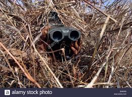 binoculars.jpg