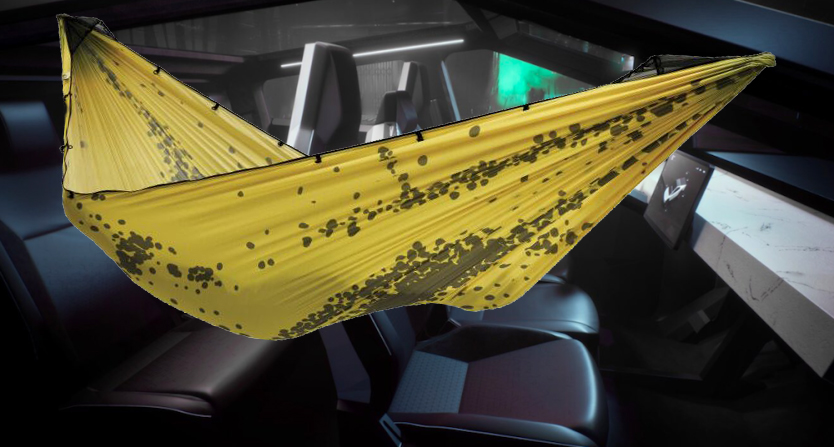 cybertruck-interior hammock.jpg