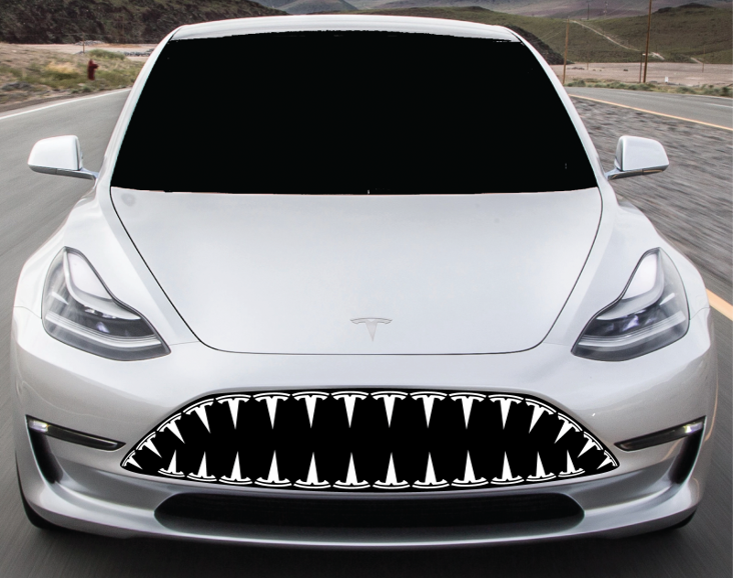 Tesla Teeth.png